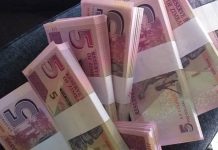 Informal Traders ‘Demonetise’ Z$5.00 Notes Informal Traders ‘Demonetise’ Z$5.00 Notes