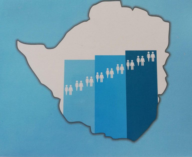 ZIMSTAT Conducting Field Mapping, Household Listing