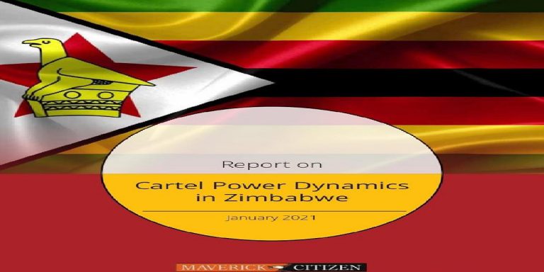 Report On Cartels Crucial For US Sanctions On Zimbabwe – ND