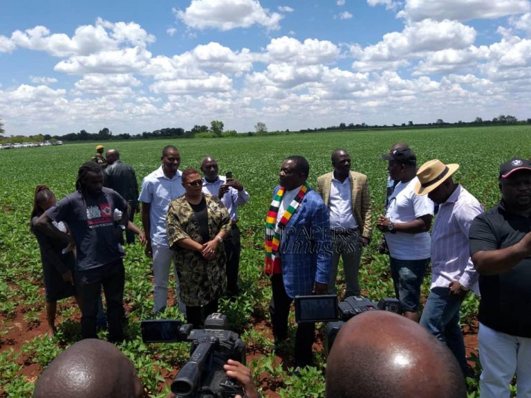 ZANU PF Directs Chamisa, Mwonzora To POLAD, Rule Out GNU
