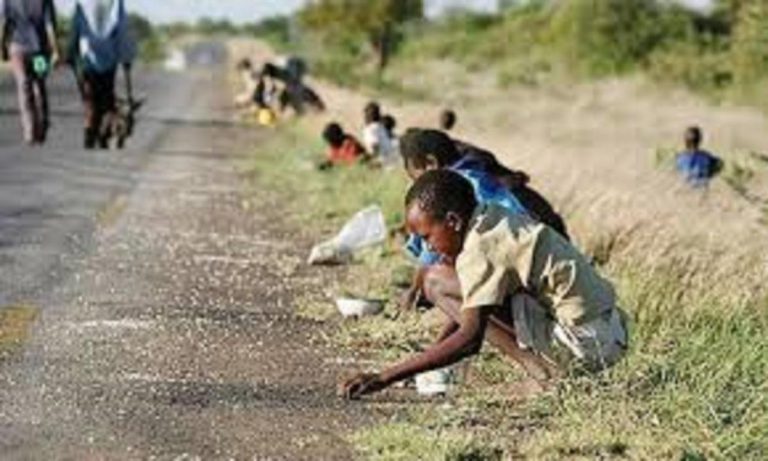 5.5 Million Rural People Face Hunger – Zimbabwe Vulnerability Assessment Committee