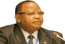 ZEC Gazettes Shava’s Nomination To Replace SB Moyo ZEC Gazettes Shava’s Nomination To Replace SB Moyo