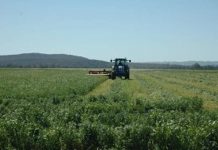 Chilonga Evictions Debacle Force Govt To Hold Crisis Meeting – Report Chilonga Evictions Debacle Force Govt To Hold Crisis Meeting – Report