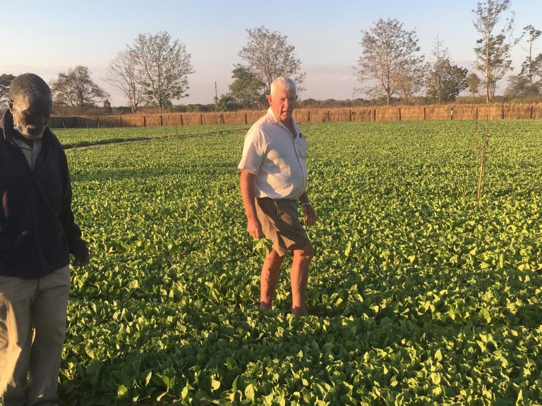 Zimbabwe Amending Constitution To Nationalise Some Commercial Farms – Report