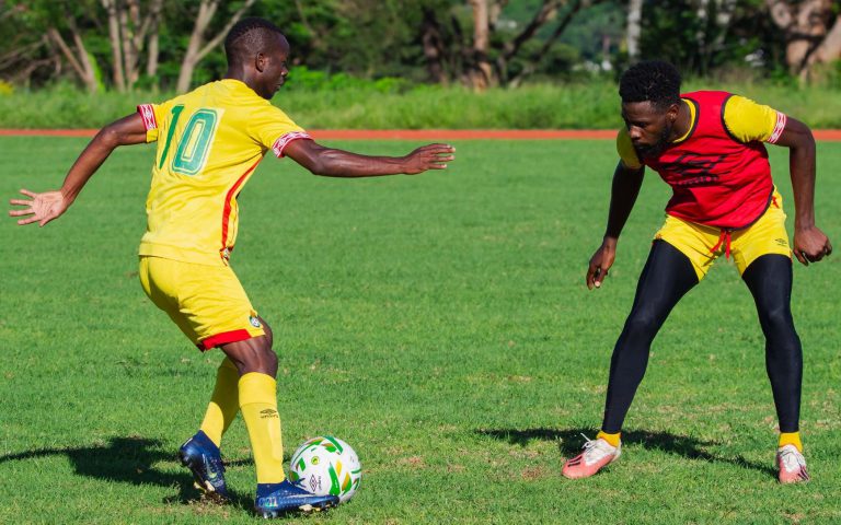 Logarusic Names 23-man Warriors Squad For AFCON Qualifiers