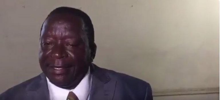 7 Reasons Why Matamedanda Was Fired – Report