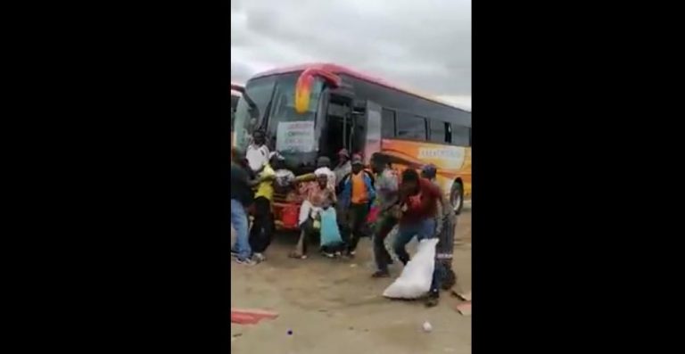 ZRP Arrests 4 Touts In The Viral Video Of A Woman Being Manhandled At A Bus Terminus