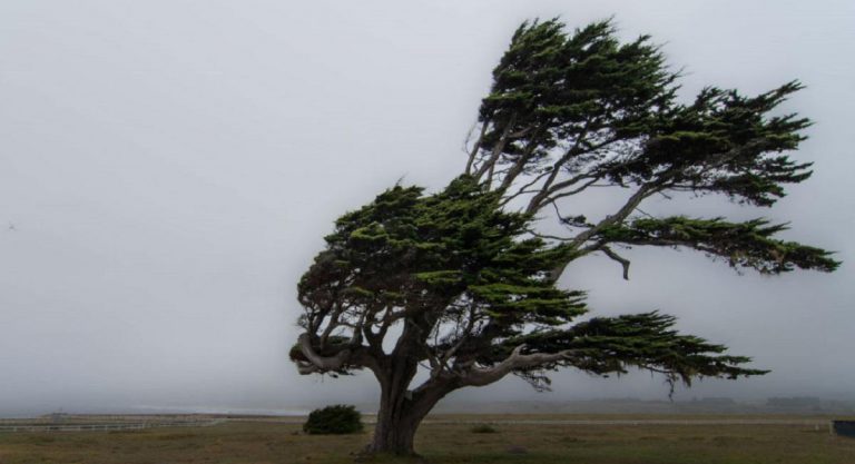 MSD Weather Report And Forecast – 01-03 April 2021