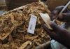 Tobacco Selling Season Commences Today Tobacco Selling Season Commences Today
