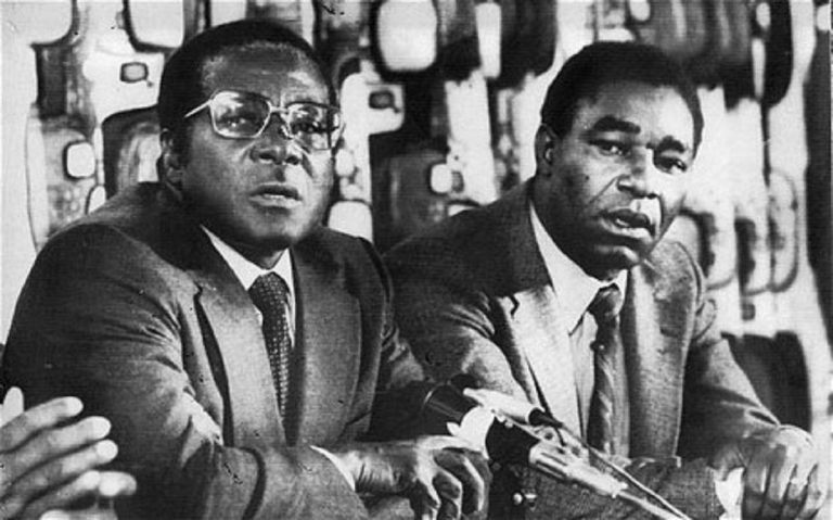 Law To Recall MPs Is Mugabe’s Brainchild – Madhuku