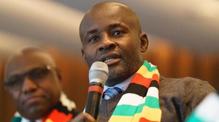Mliswa Challenges Voters To Elect Independent Councillors