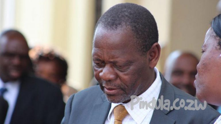 FULL TEXT: Abednico Ncube For Vice Presidency – Opinion
