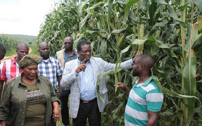 Zimbabwe Having An Agricultural Revolution – ED