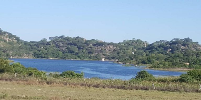 ZINWA Unpacks Water Agreement System Ahead Of Winter Farming Season