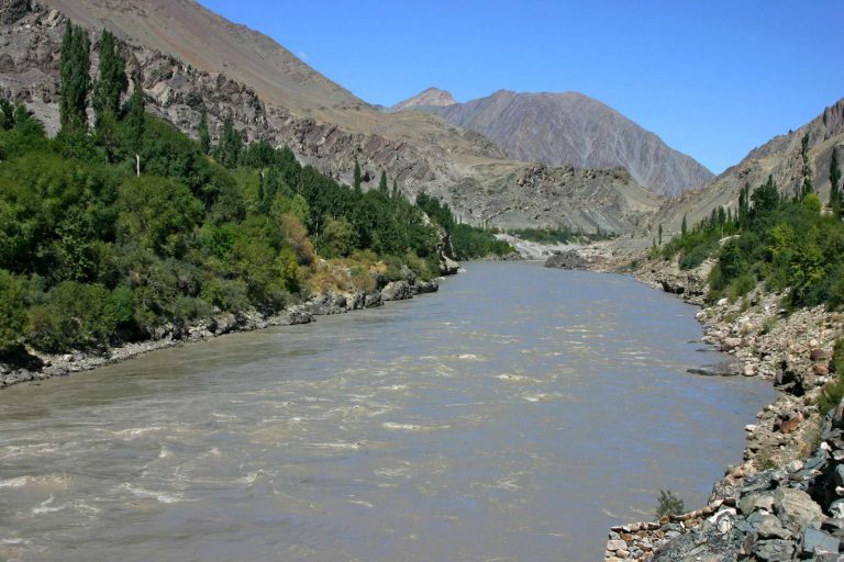 India: 150 Rotting Bodies Of Covid Victims Wash Up On River Banks
