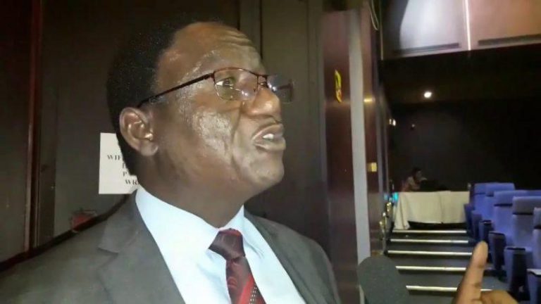Police Summon Zanu PF Youths Over Makonde DCC Violence
