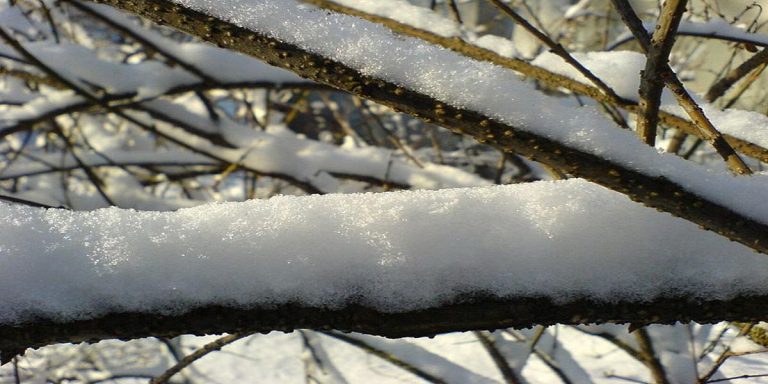 Zimbabwe Weather Report And Forecast: 11-13 May 2021
