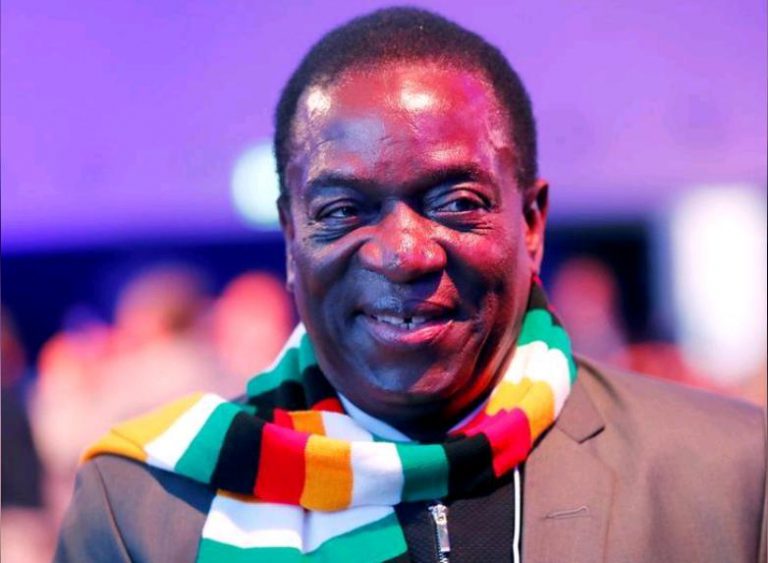 SA Minister To Deliver Cyclone Idai Maize Meal To Mnangagwa