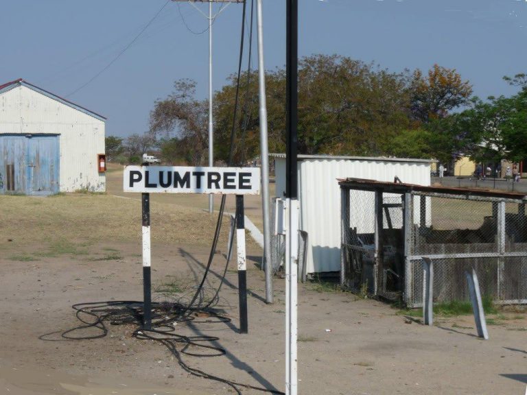 Police Intercept Truckloads Of Smuggled Goods In Plumtree