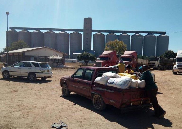 Crop Harvesting, Marketing Improve Rural Households’ Incomes