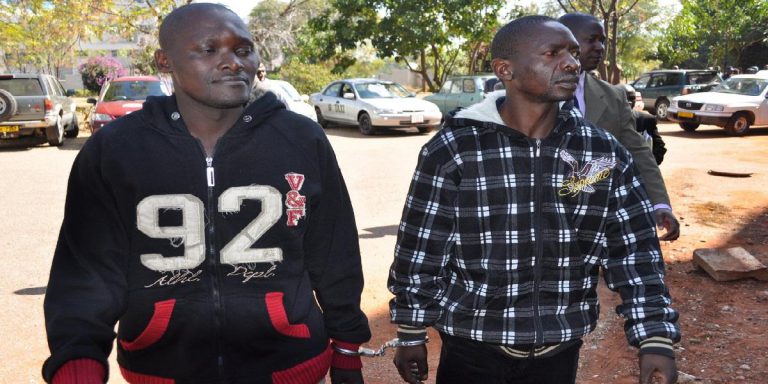 Magaisa Discusses Prospects Of Compensation For Wrongfully Jailed MDC Duo