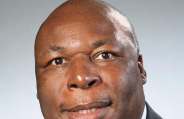 Zim First Launches ‘Silent Revolution’, Targets Rural Vote