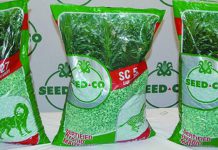 Seed Co Statement On Resumption Of Trading On ZSE – Full Text Seed Co Statement On Resumption Of Trading On ZSE – Full Text