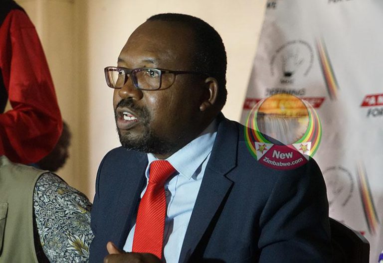 Chamisa Aide On Armed Conflict With Zanu PF