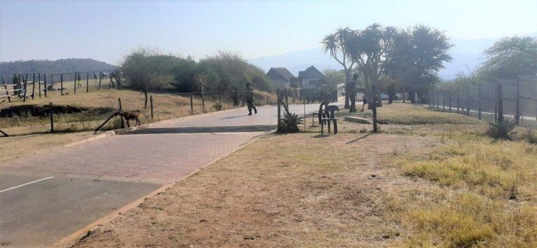 ‘SA Police Minister On His Way To See Zuma In Nkandla’