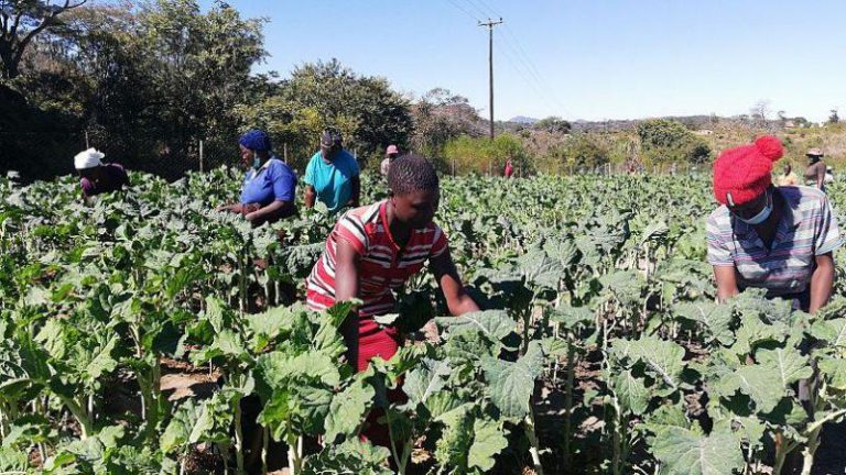 How Churches Are Empowering Communities To Beat Climate Change Effects