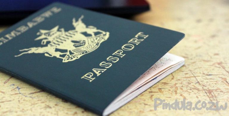 Government Has Gazetted Passport Fees In USD