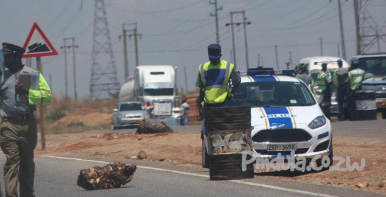 Dad, Son Arrested For Mounting Illegal Bush Police Roadblock