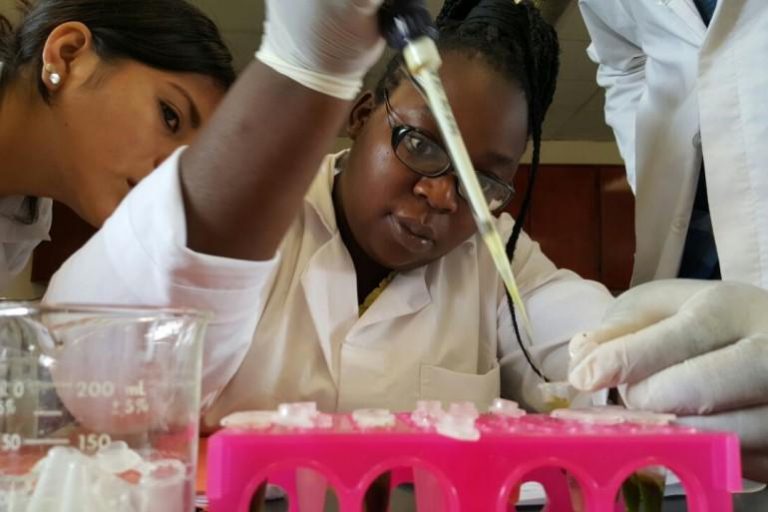 ‘Big Lumps Of Protein’: Zimbabwe’s Edible-Insect Farmer