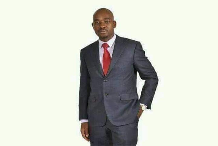 NPA Declines To Prosecute MDC Alliance Councillor NPA Declines To Prosecute MDC Alliance Councillor