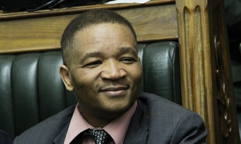 Joel Biggie Matiza’s Son Accused Of Disrespecting ZANU PF Leadership