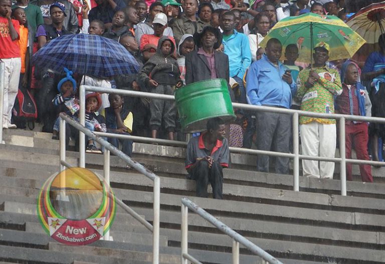 Zim Expects Another Bumper Harvest