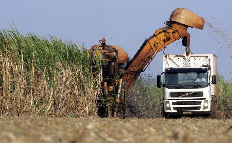 Zimbabwe Has Renewed Tongaat Hullet’s Licence By 20 Years