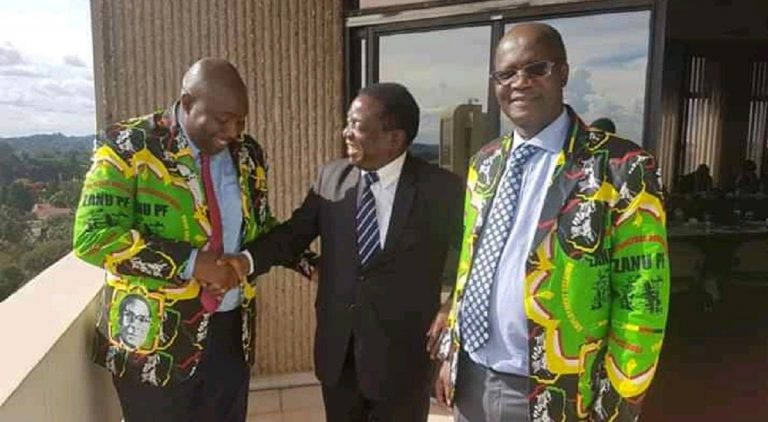 G40 Plots ZANU PF Takeover Before 2023