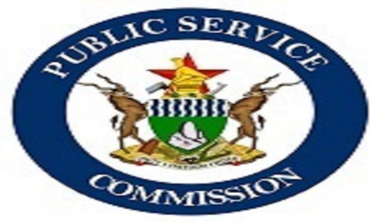 Memo On Organized Shopping Trips To South Africa is FAKE – Public Service Commission