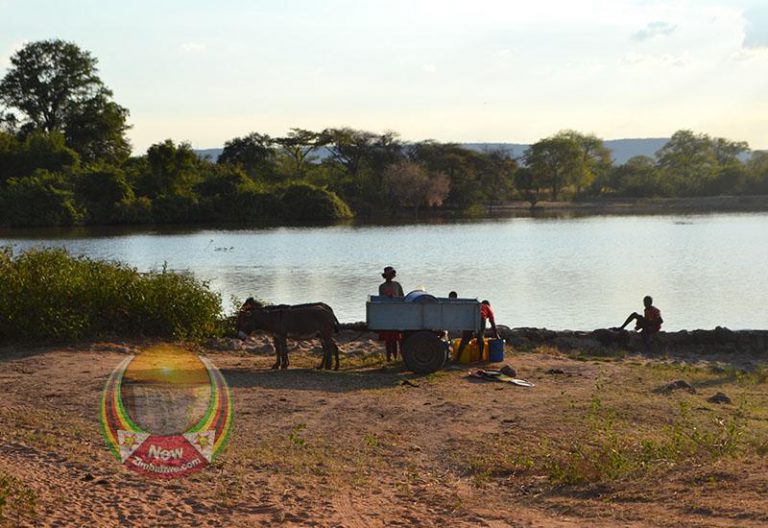 WFP’s Resilience Initiatives Help Allay Water Woes In Mwenezi