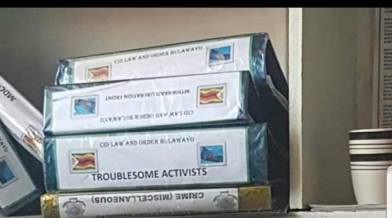 Cop In Trouble Over Chamisa WhatsApp Status