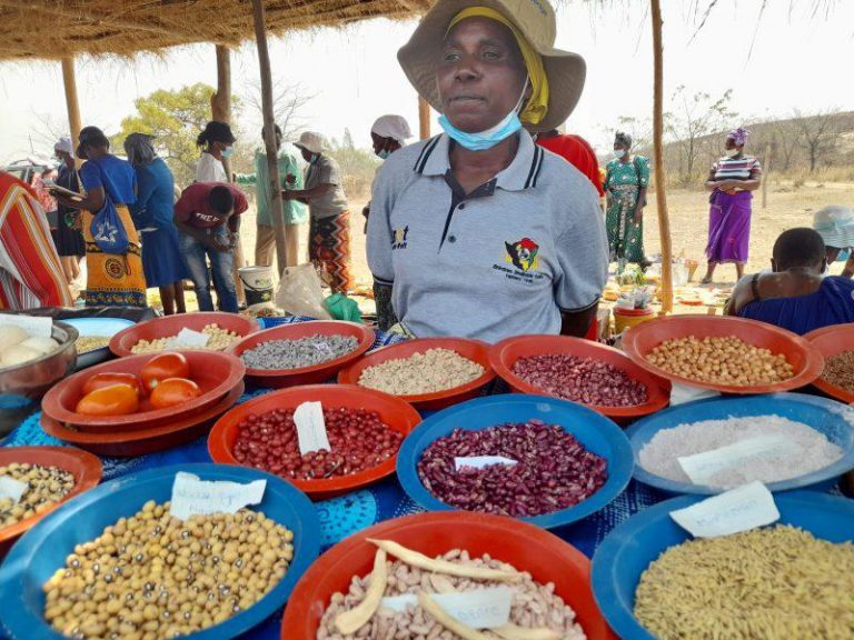 Female Smallholder Farmers Plead For Government Support