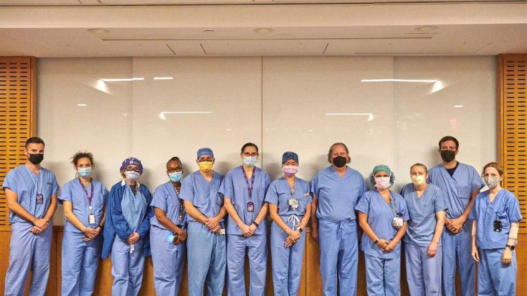 US Surgeons Successfully Test Pig Kidney Transplant In Human