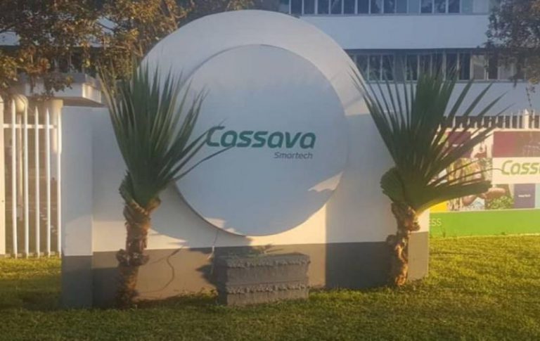 Cassava Smartech’s Insurtech Revenue Up 15%