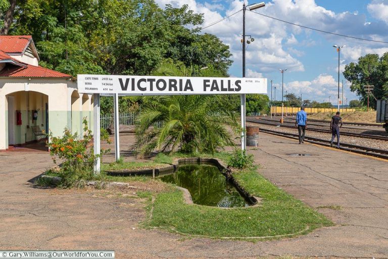 Elephants ‘Impose’ Early Curfew In Victoria Falls