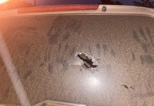 Chamisa Hasn’t Filed Assassination Attempt Report – NPRC Chamisa Hasn’t Filed Assassination Attempt Report – NPRC