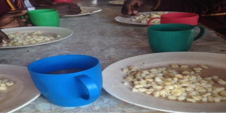 Lawyers Give ZRP 7-Ultimatum To Name Officers Who Tortured Gokomere Students