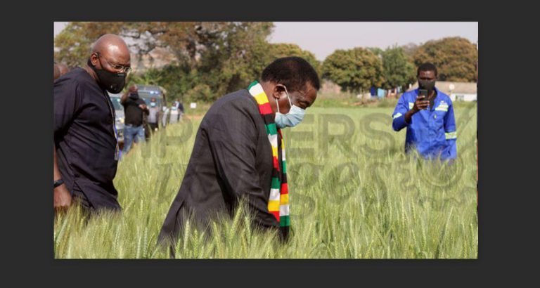 Douglas Munatsi Was One Of The Few True Patriots Around Mnangagwa – Chin’ono