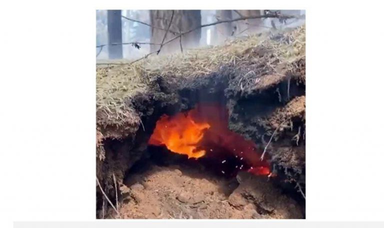 Family Of Hwange Girl Who Succumbed To Underground Fire Burns Seek Assistance