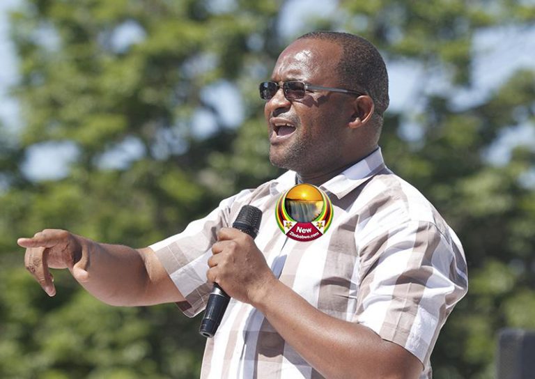 Mwonzora Eyes Prime Minister Position